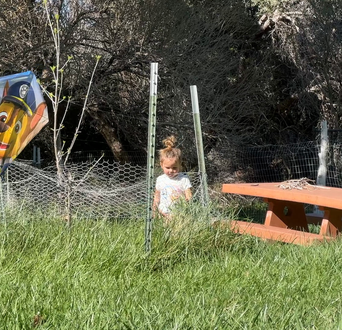 A child by a garden fence with her face covered by a sunglasses emoji
