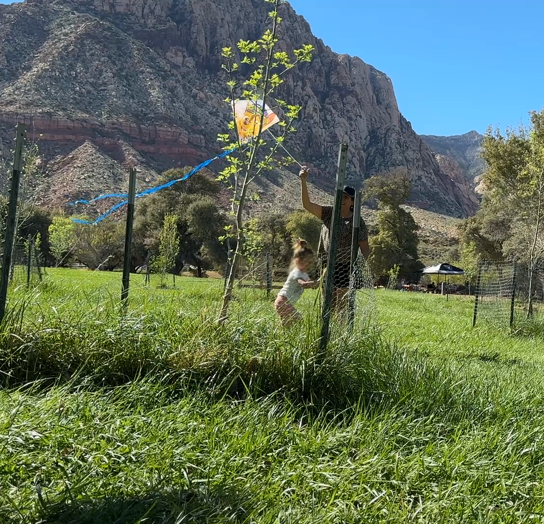 A parent and child flying a kite below red rock mountains, with a subtitle